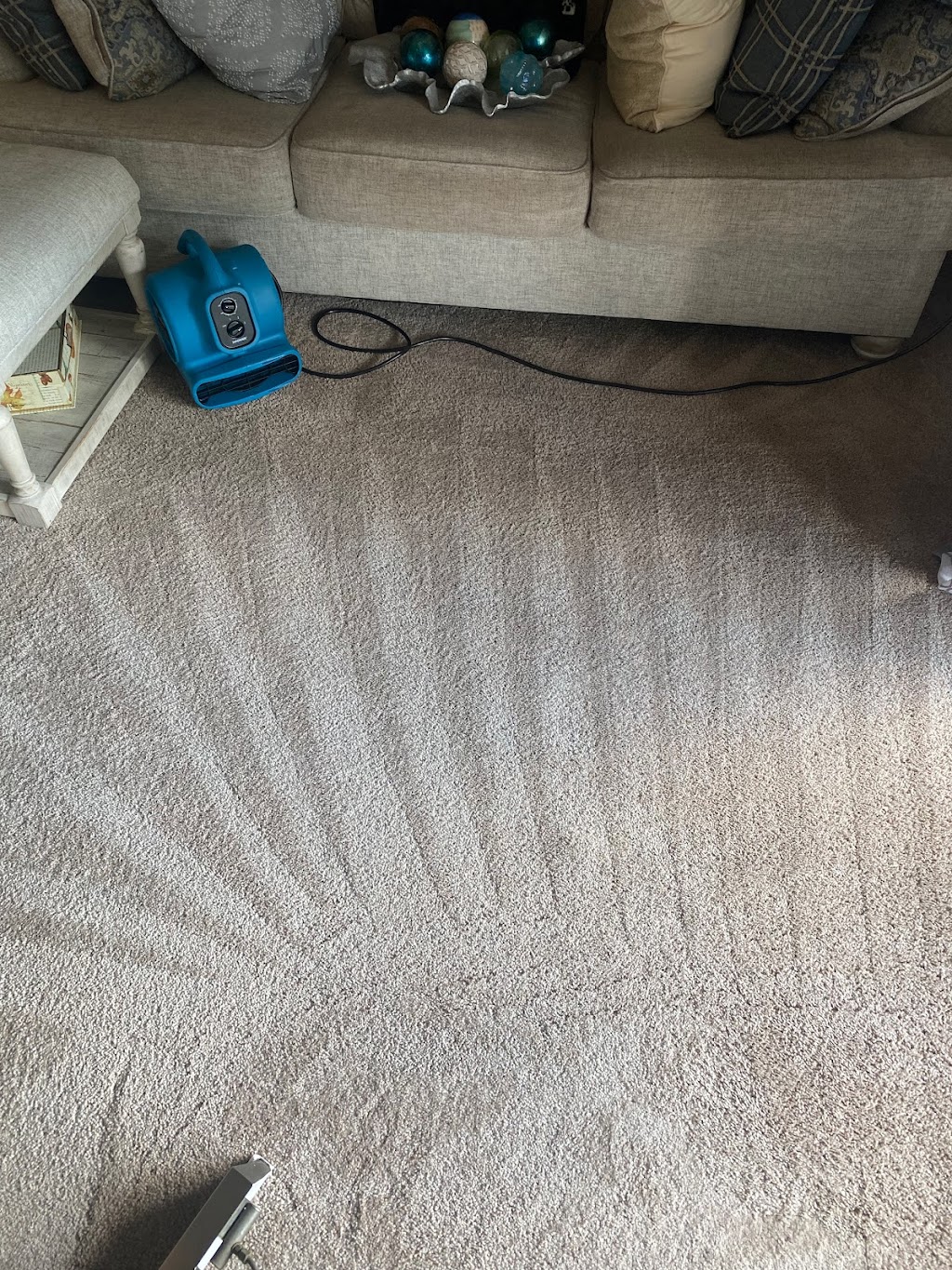 Super Steamer Carpet Cleaner | Derwyn Rd, Drexel Hill, PA 19026 | Phone: (267) 241-4541