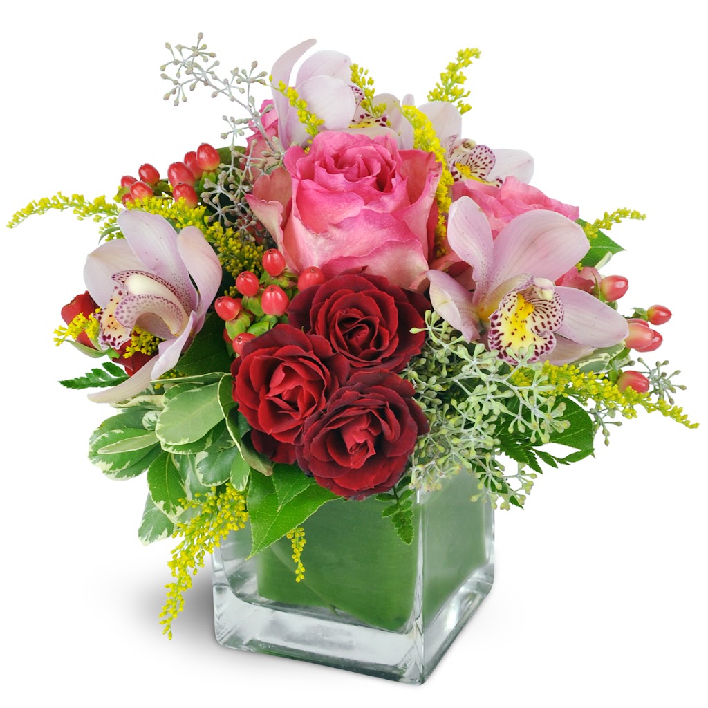 House of Flowers | 611 Main St, Forest City, PA 18421 | Phone: (570) 785-5322
