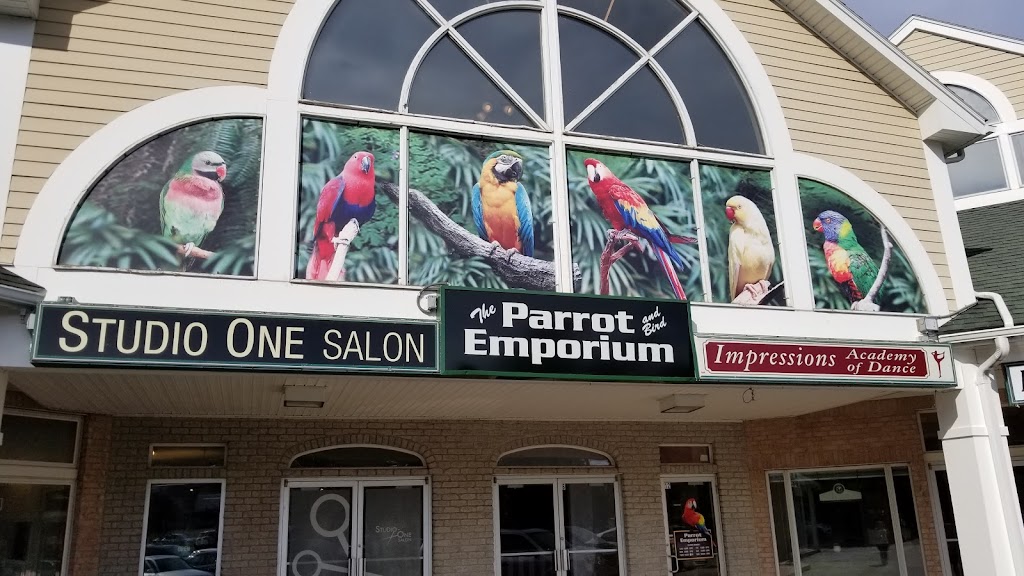 Parrot & Bird Emporium Inc | 360 N Westfield St, Feeding Hills, MA 01030 | Phone: (413) 363-9008