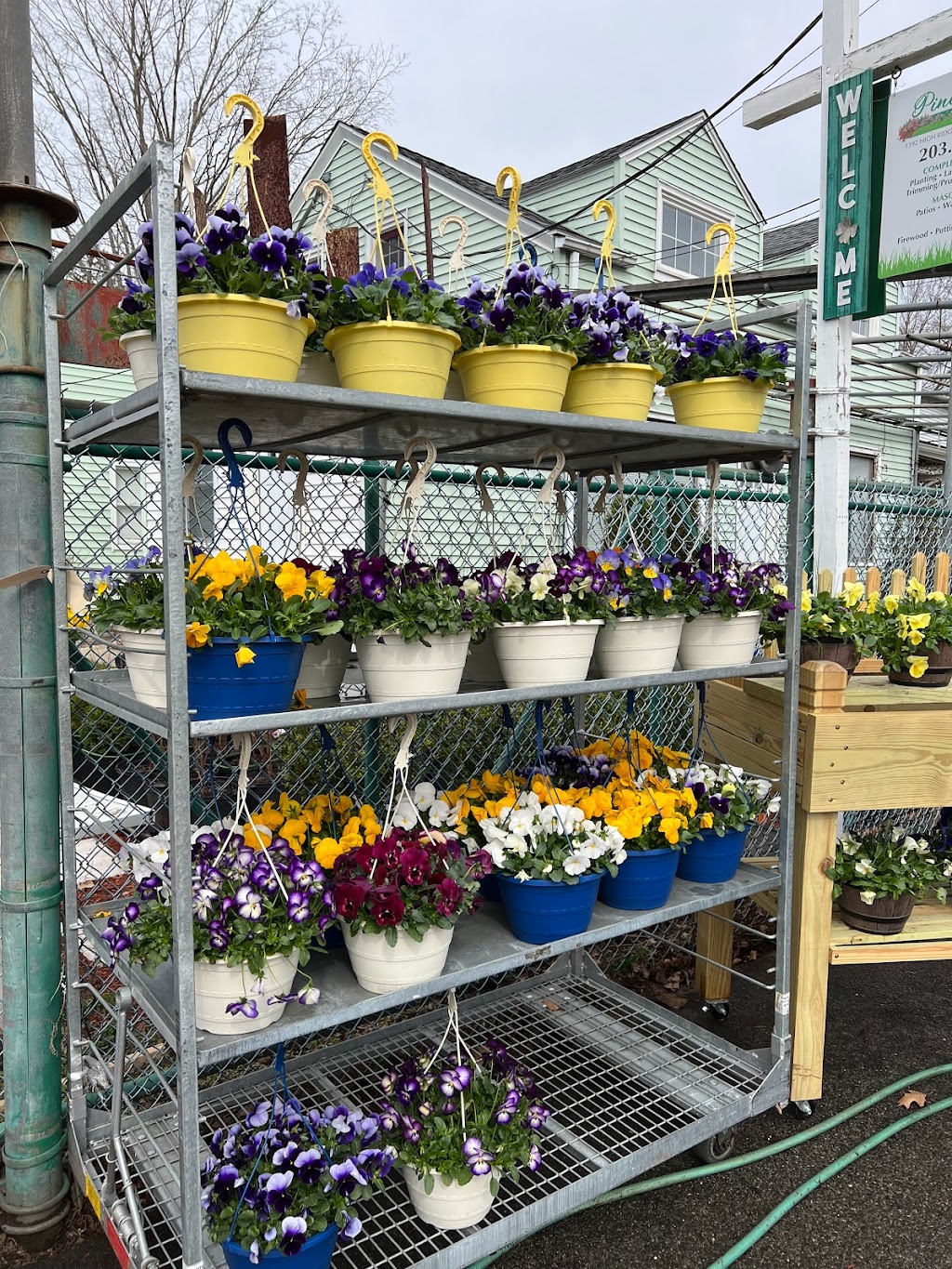 Pine Hill Nursery | 1392 High Ridge Rd, Stamford, CT 06903 | Phone: (203) 918-7470