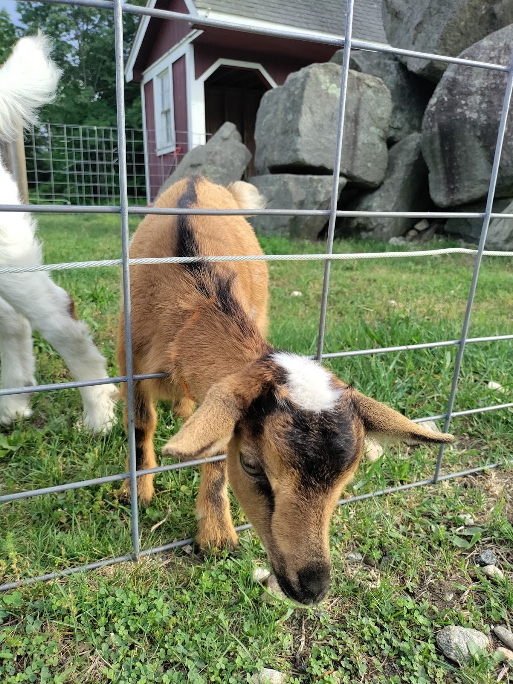 Tables at the Farm | 3092 Palmer St #181, Palmer, MA 01069 | Phone: (413) 324-2986