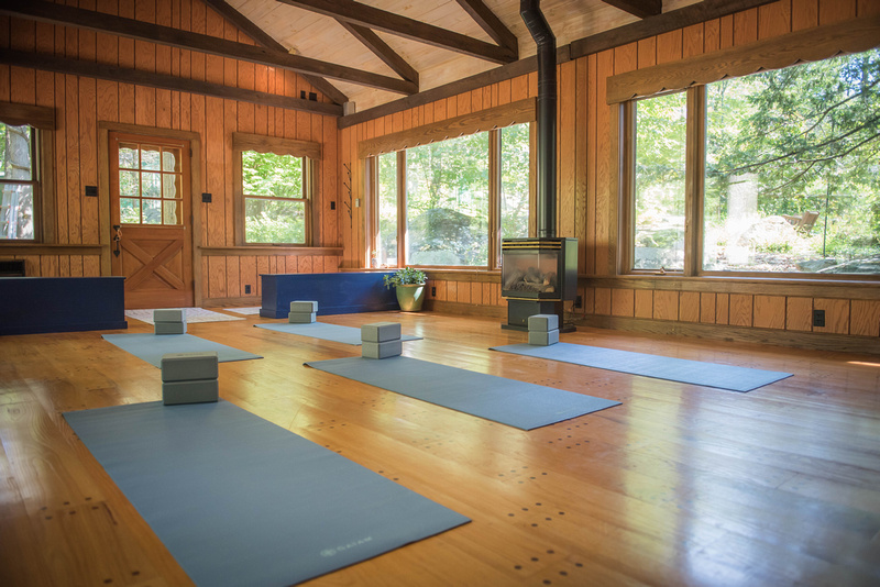 Path Yoga Therapy | 209 Gerloff Rd, Schwenksville, PA 19473 | Phone: (267) 221-1933