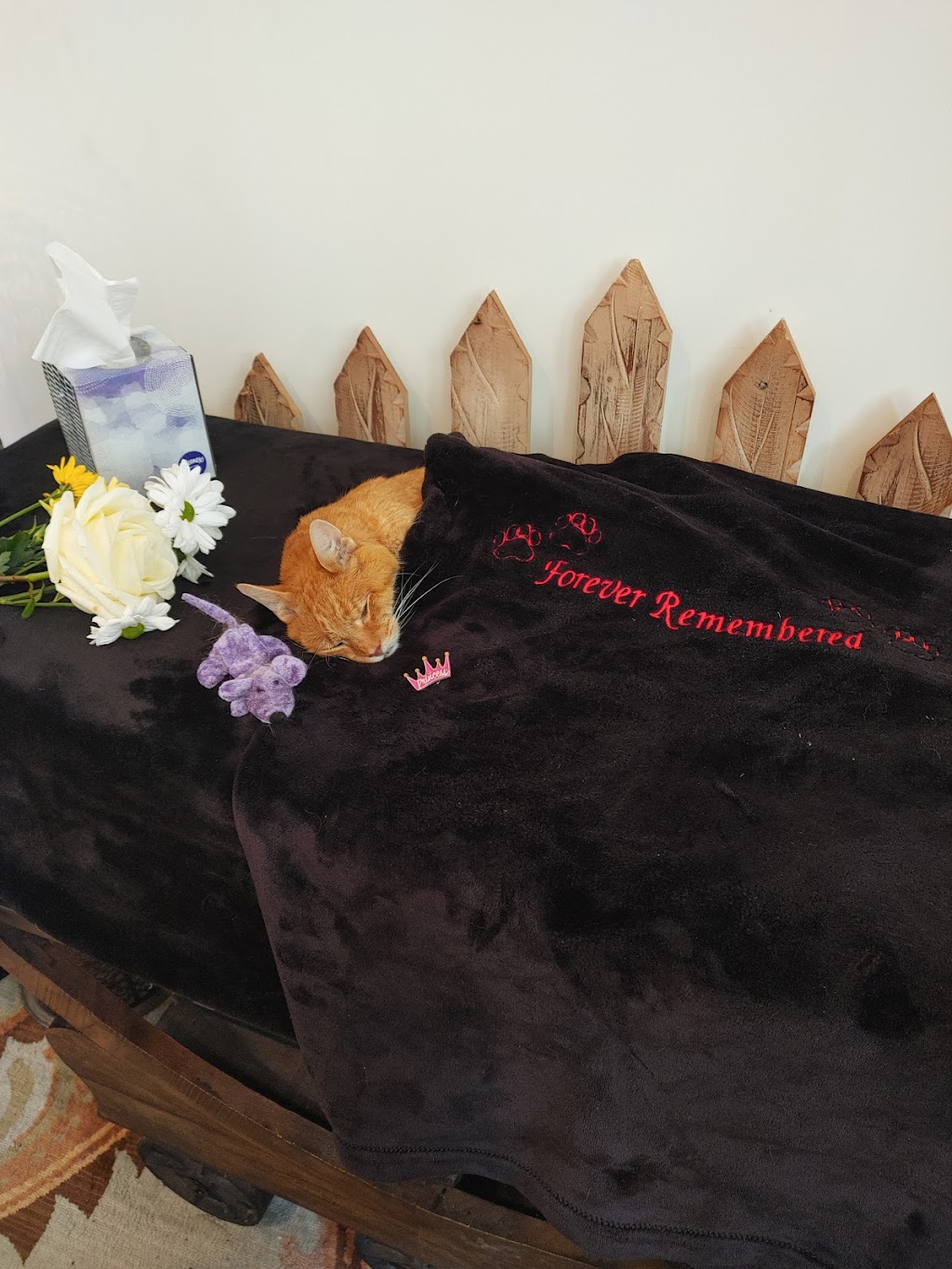 Forever Remembered Pet Cremation and Memorial Services, LLC | 520 W Veterans Hwy, Jackson Township, NJ 08527 | Phone: (732) 415-8472