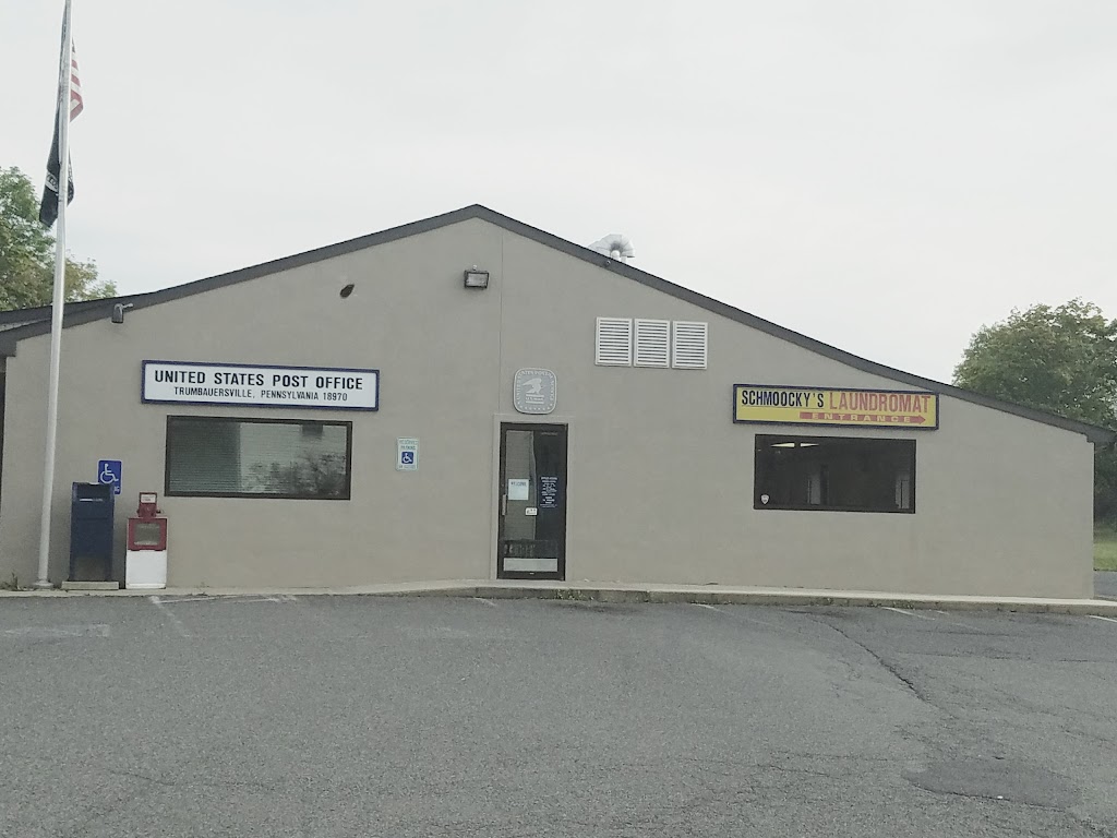 Schmookys Laundromat & Dry Cleaners | 120 Main St N, Trumbauersville, PA 18970 | Phone: (215) 536-9948