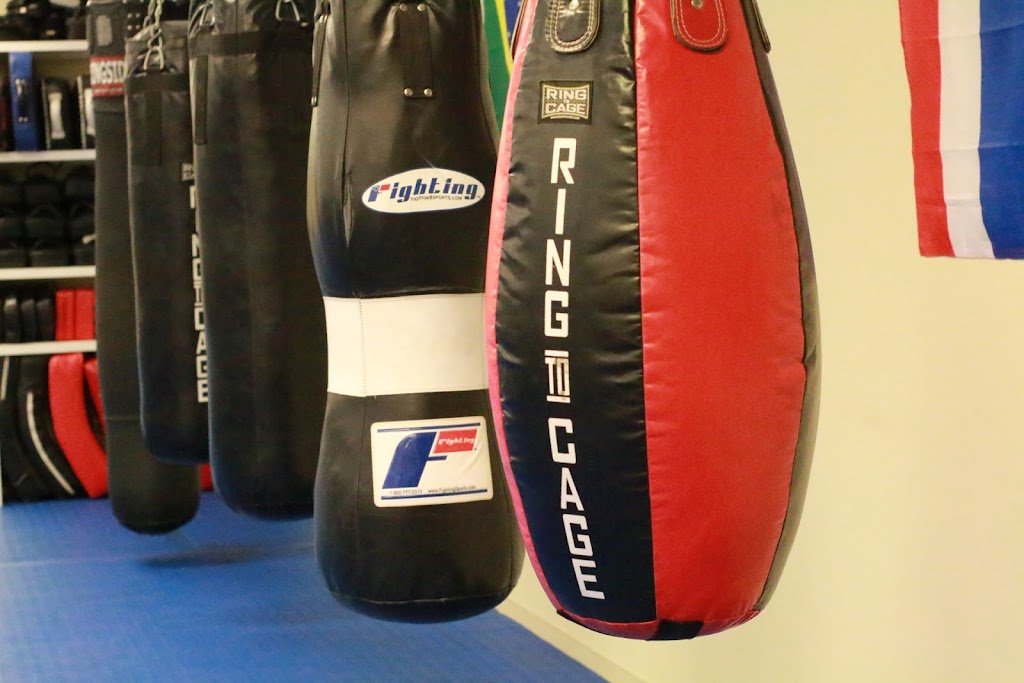 National Martial Arts | 473 Violet Ave, Poughkeepsie, NY 12601 | Phone: (845) 483-7675