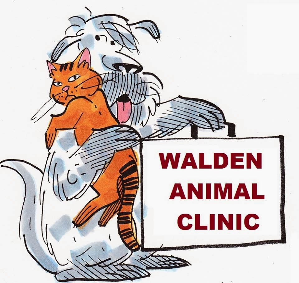 Walden Animal Clinic: Stephen Kelly DVM and Alicia Rich DVM | 2212 Albany Post Rd, Walden, NY 12586 | Phone: (845) 778-7343