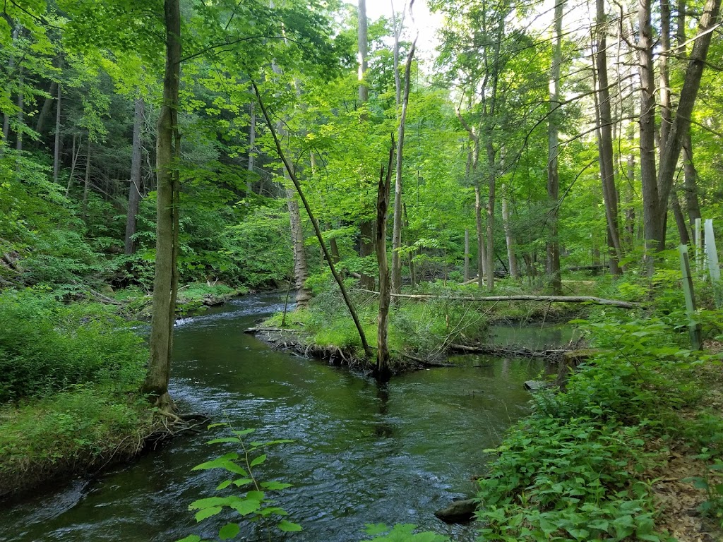 Black Creek Preserve | Winding Brook Rd, Esopus, NY 12429 | Phone: (845) 473-4440