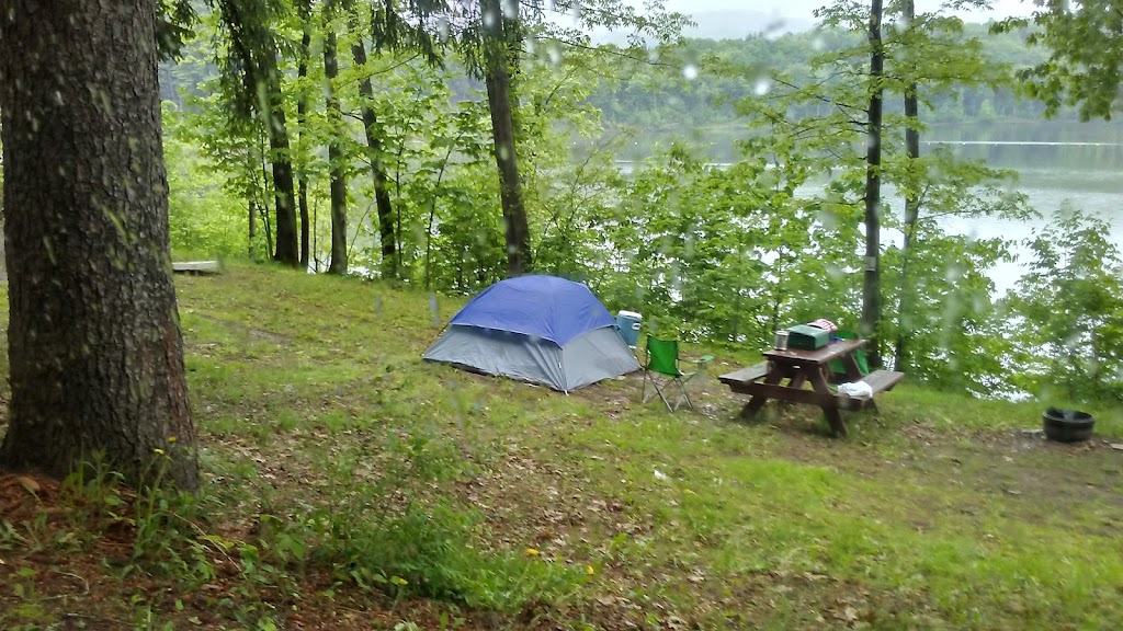 East Sidney Lake Campground | 4659 State Highway 357,, Franklin, NY 13775 | Phone: (607) 829-6433