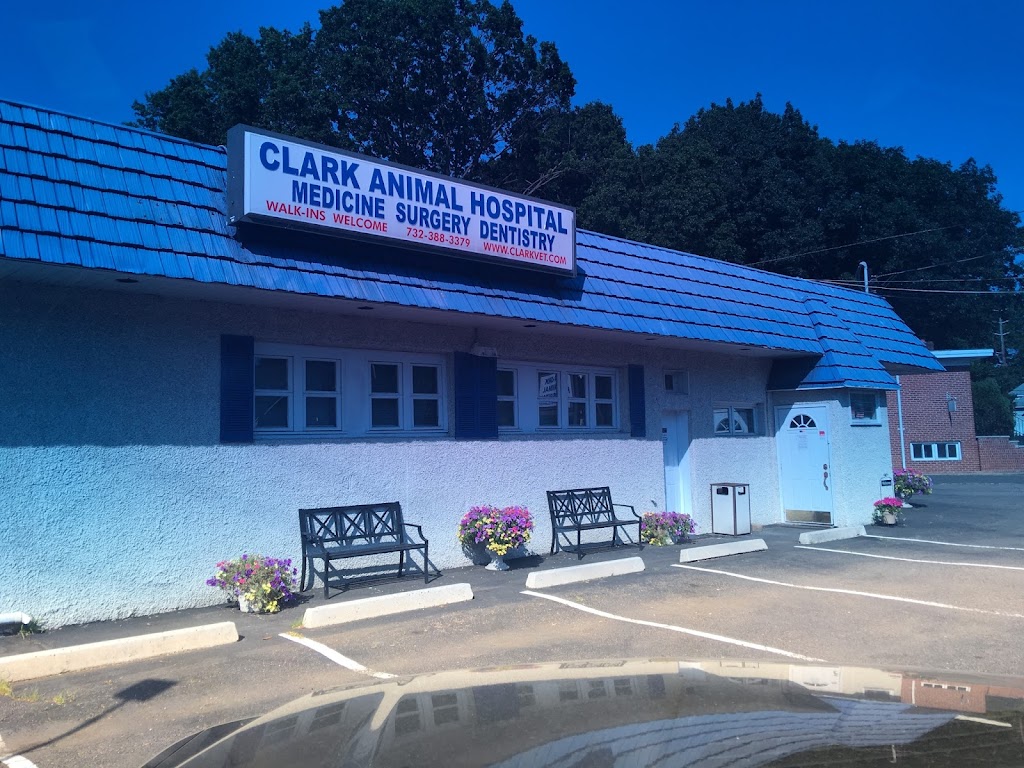 Clark Animal Hospital | 1075 Westfield Ave, Rahway, NJ 07065 | Phone: (732) 388-3379
