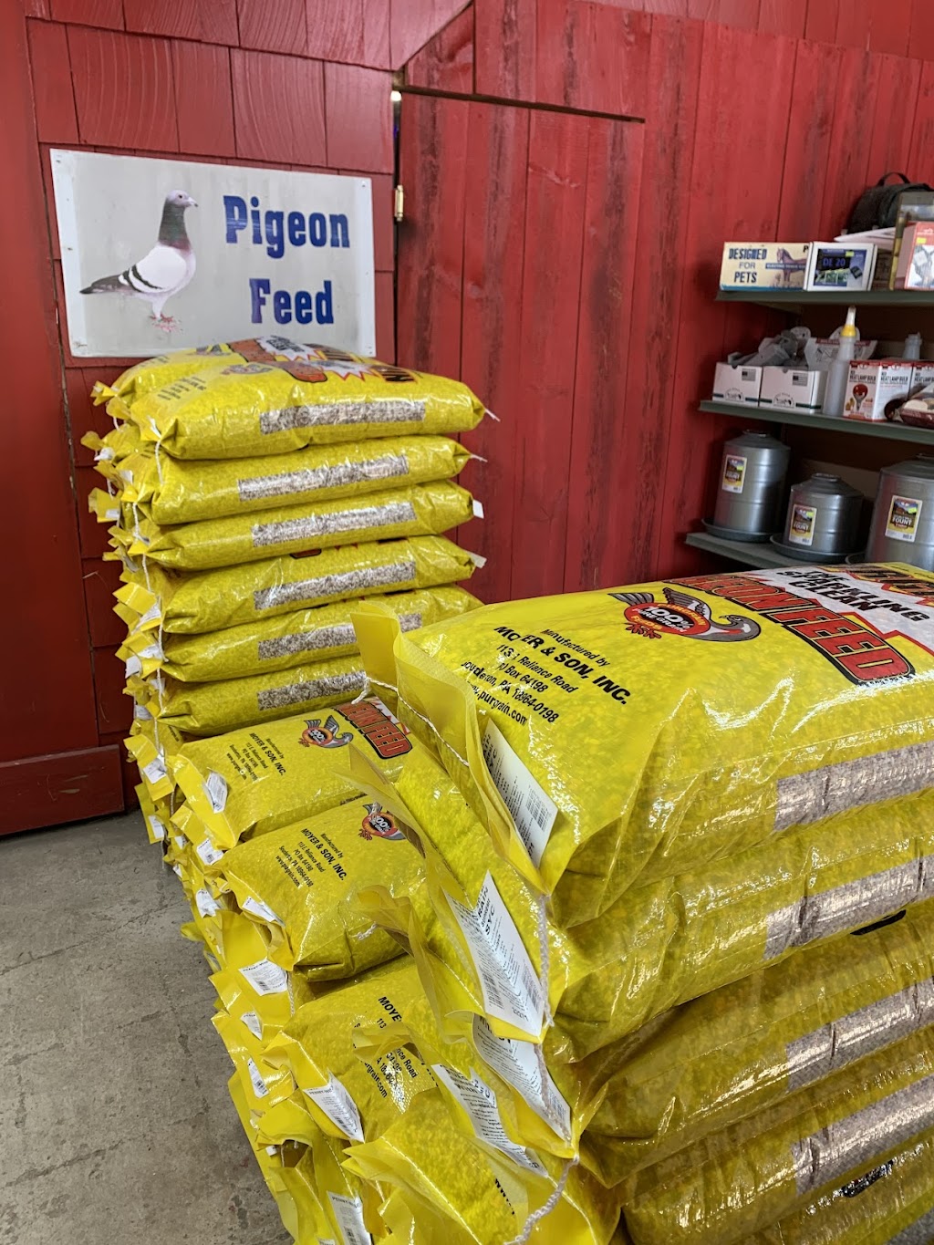 Brier Patch Pet and Feed | 219 Old Rte 32, Saugerties, NY 12477 | Phone: (845) 246-8603