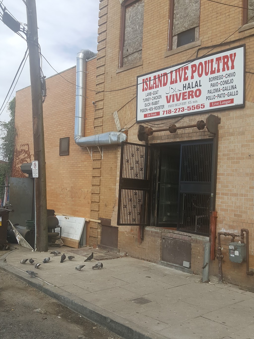 Island Live Poultry. Vivero | 9 Port Richmond Ave # 1, Staten Island, NY 10302 | Phone: (718) 273-5565
