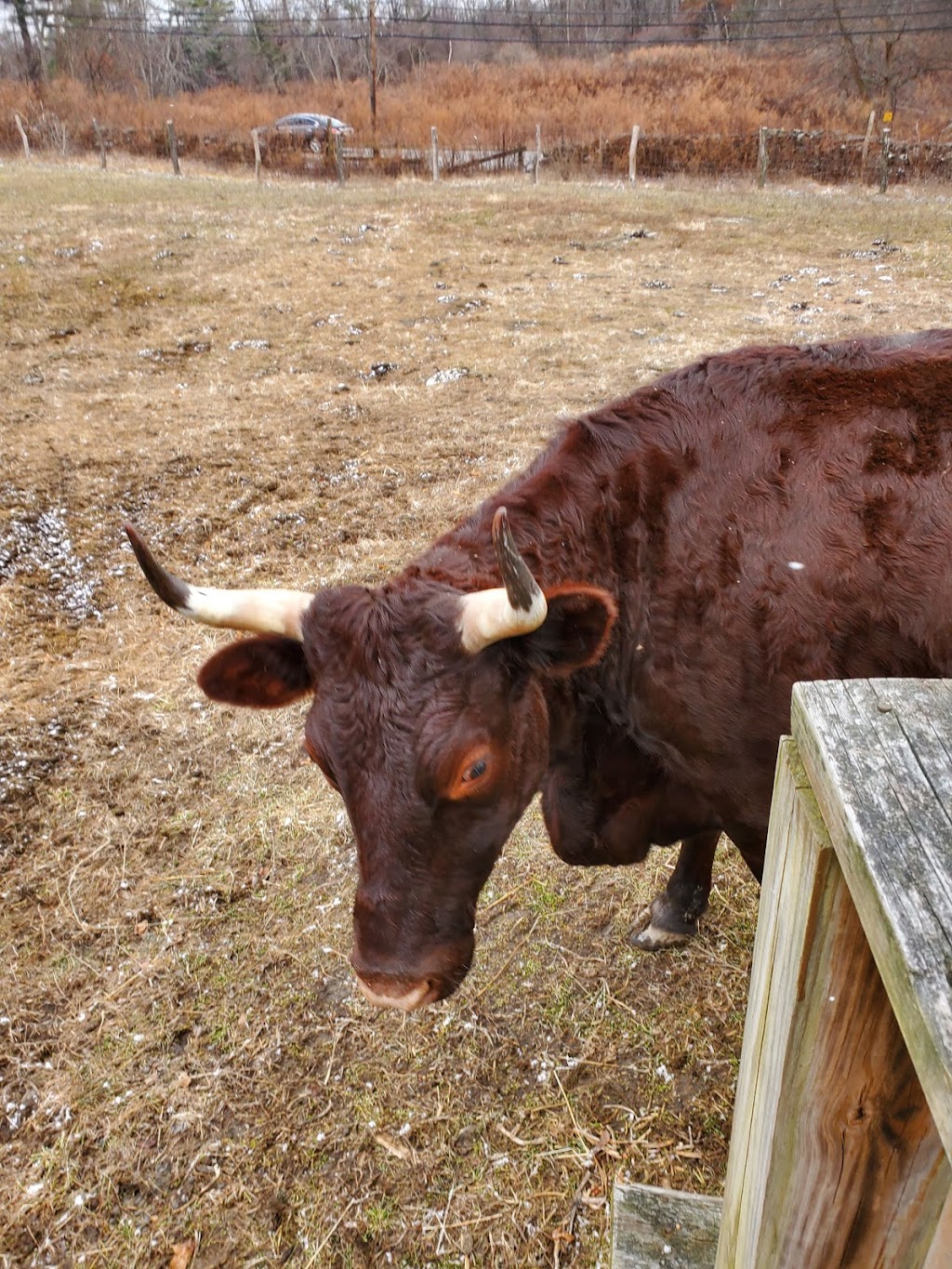 Stony Kill Farm Environmental Education Center | 79 Farmstead Ln, Wappingers Falls, NY 12590 | Phone: (845) 831-3800