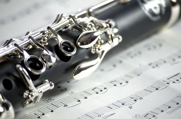 Private Clarinet and Saxophone Lessons | 91 Minnehaha Blvd, Oakland, NJ 07436 | Phone: (201) 739-1208