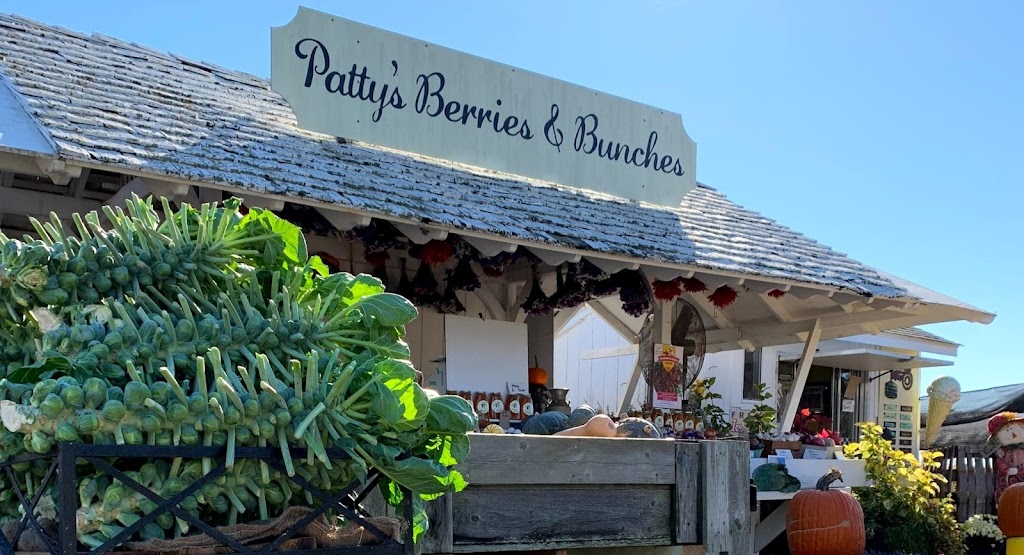 Pattys Berries and Bunches | 410 Sound Ave, Mattituck, NY 11952 | Phone: (631) 655-7996