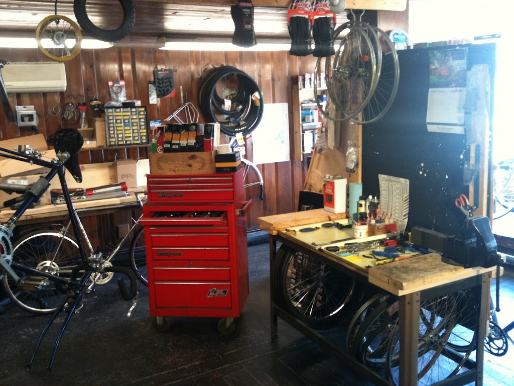 Green Light Bicycle Shop | 5 N Main St, Belchertown, MA 01007 | Phone: (413) 336-7076