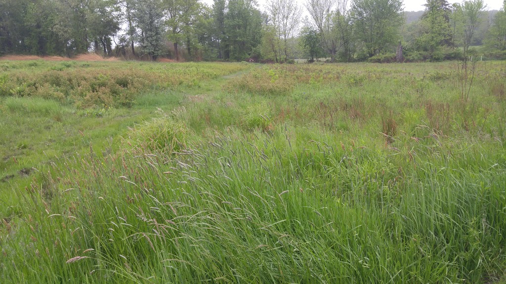 Pine Croft Meadow Preserve | Pine Croft Meadow Preserve, 102 Mead St, Waccabuc, NY 10597 | Phone: (914) 234-6992