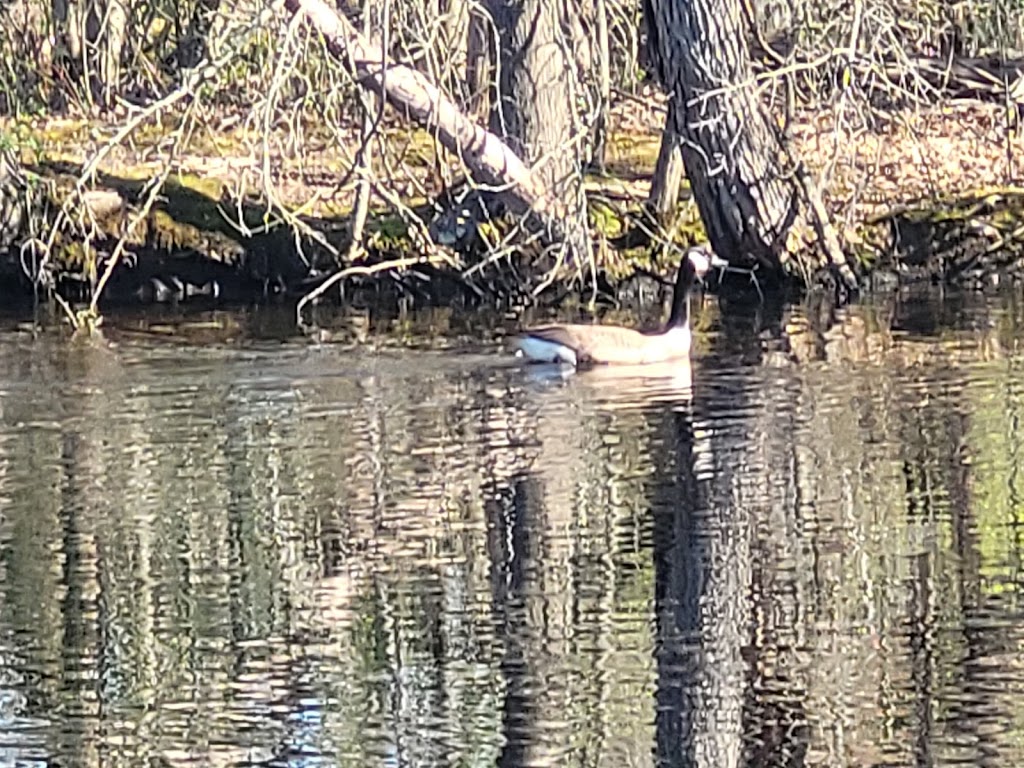 Heritage Conservancys Jackson Pond Preserve | Furlong, PA 18925 | Phone: (215) 345-7020