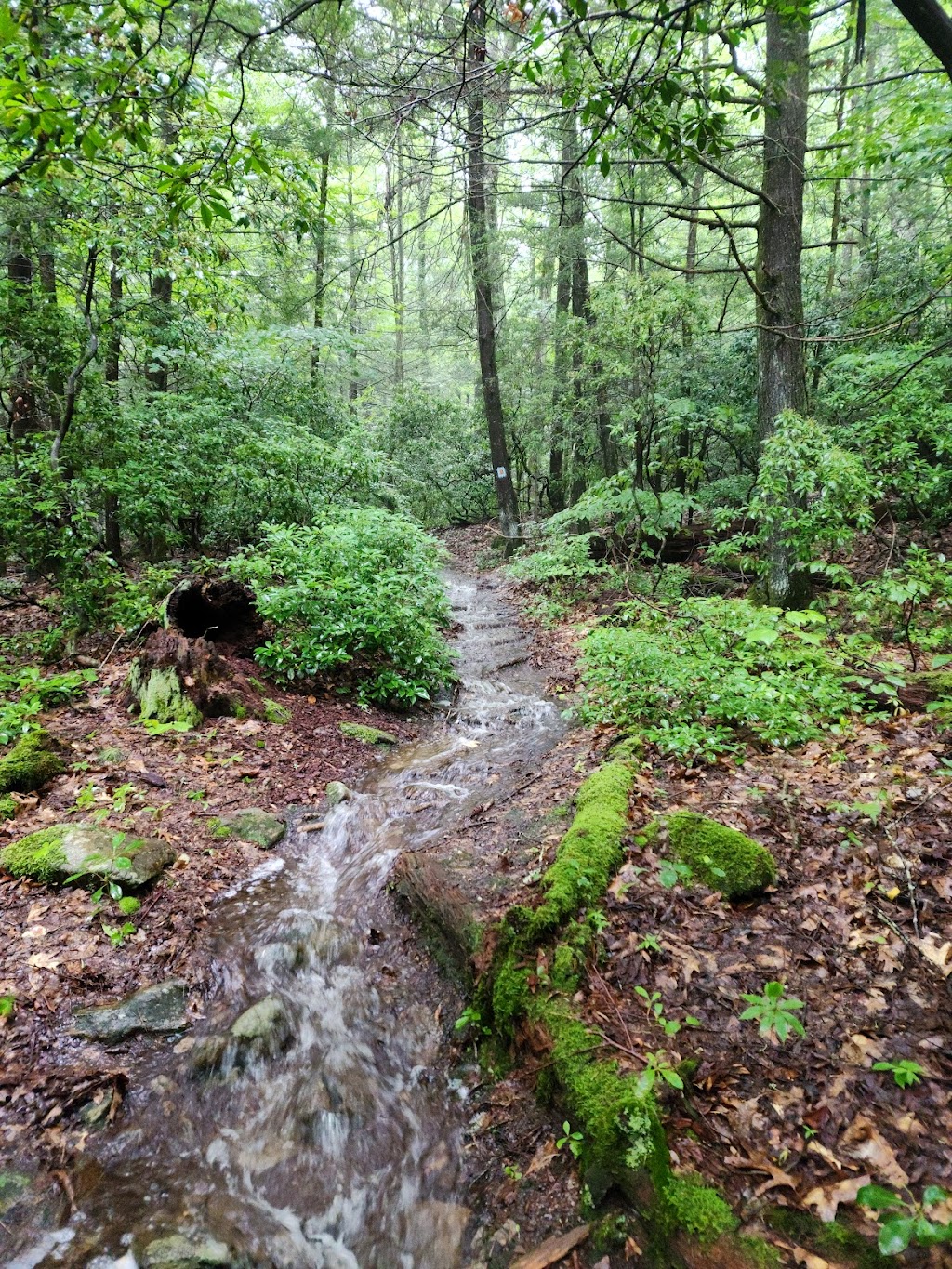 Peoples State Forest Nature Museum | Riverton, CT 06065 | Phone: (860) 379-9074