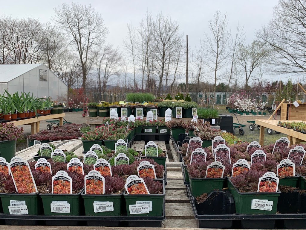 Gardeners Supply | 285 Russell St, Hadley, MA 01035 | Phone: (413) 584-1423