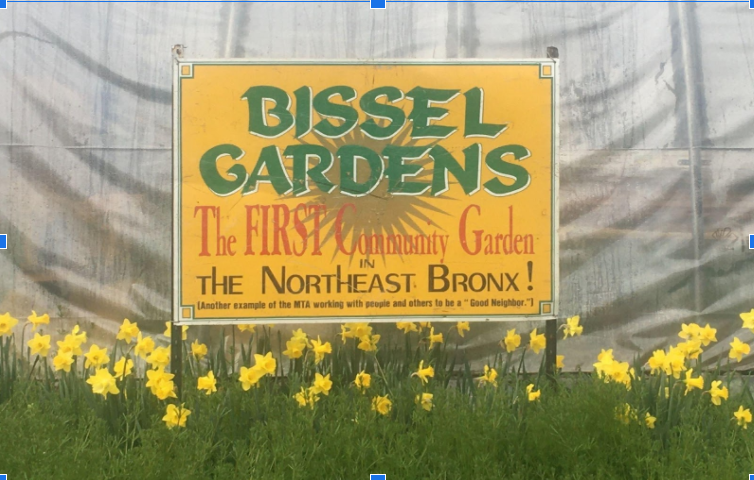 Bissel Gardens | Bissel Ave, The Bronx, NY 10466 | Phone: (347) 375-4228