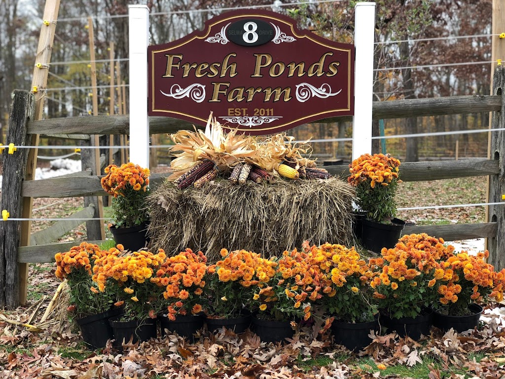 Fresh Ponds Farm | 8 Selma Dr, Monroe Township, NJ 08831 | Phone: (732) 274-1748