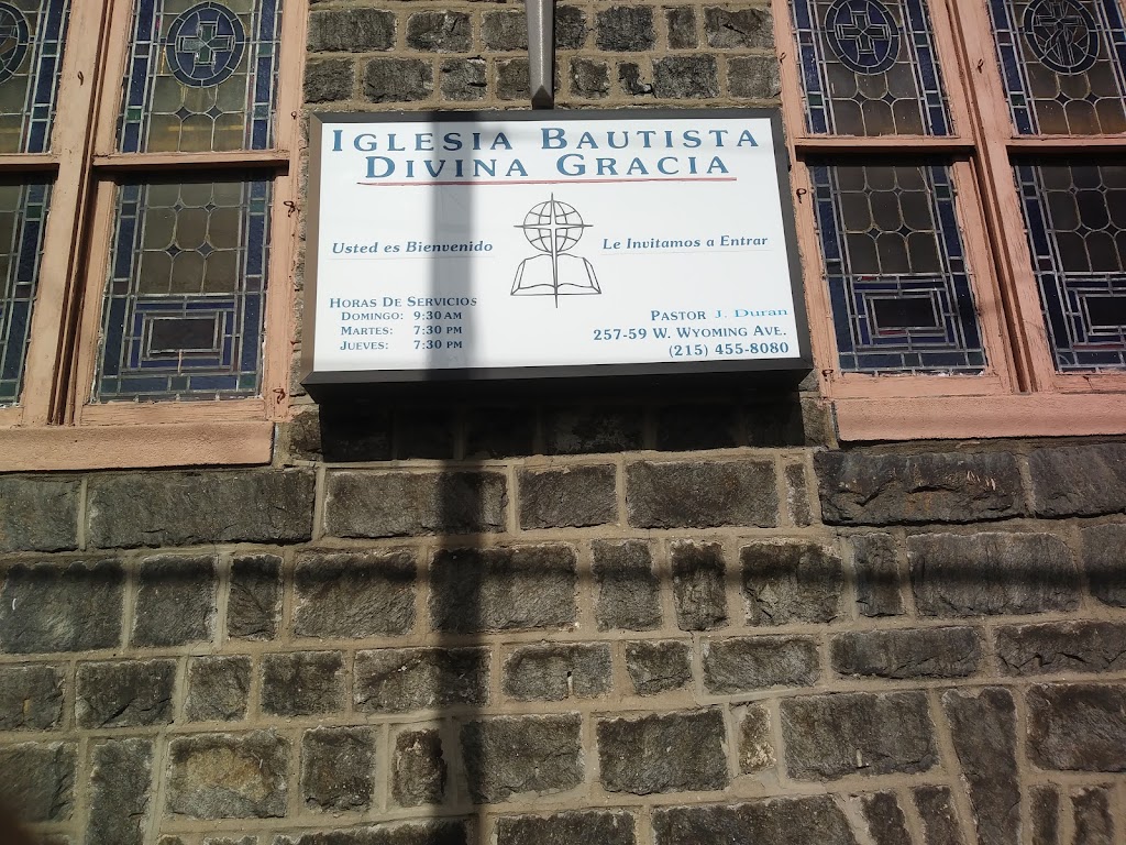 Divina Gracia | 257 W Wyoming Ave, Philadelphia, PA 19140 | Phone: (215) 455-8080