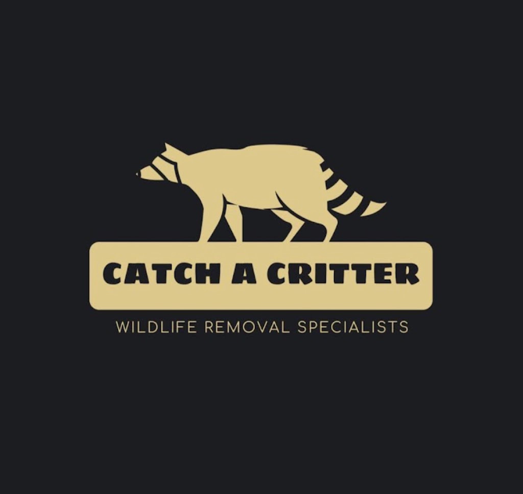 Catch a Critter | 809 May Ave, Deptford, NJ 08096 | Phone: (856) 381-4525