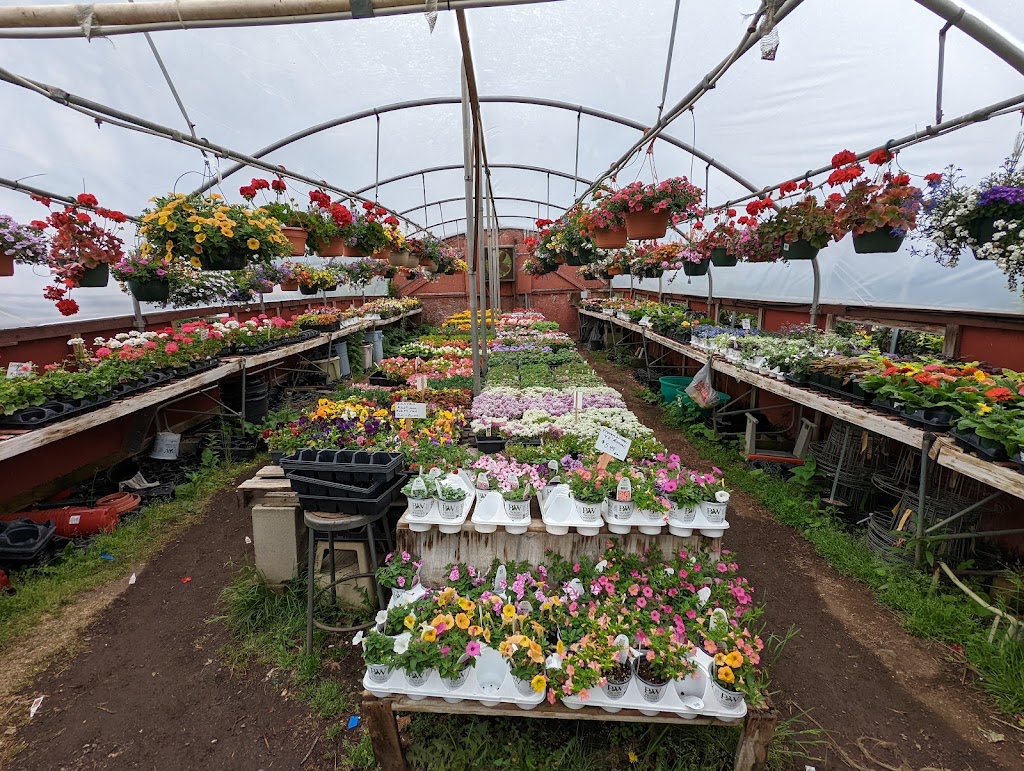 Class Grass Garden Center | 140 W State St Rt 202, Granby, MA 01033 | Phone: (413) 467-7979