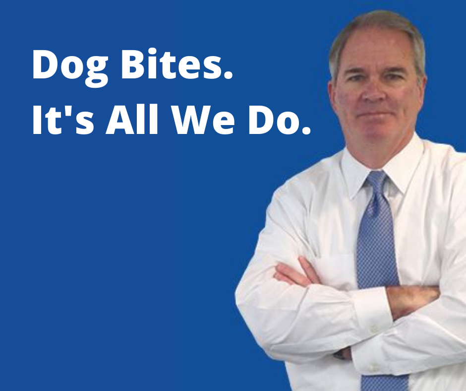 The New Jersey Dog Bite Lawyer | 6638 Delilah Rd # A, Egg Harbor Township, NJ 08234 | Phone: (609) 513-0627