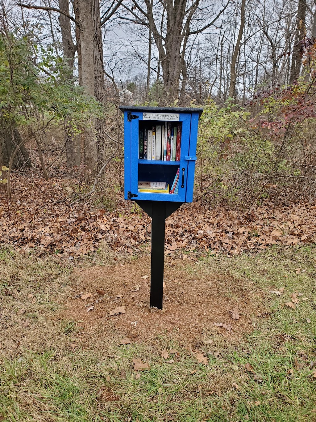 Bow Trees Little Free Library #110594 | 451 Beaumont Cir, West Chester, PA 19380 | Phone: (609) 670-7880