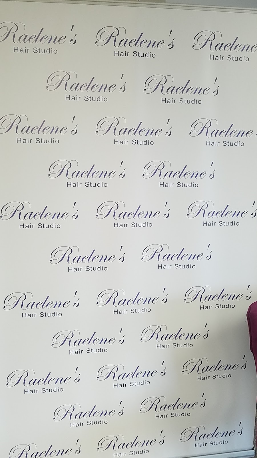 Raelenes Hair Studio | 345 Montauk Hwy, East Moriches, NY 11940 | Phone: (631) 400-9300