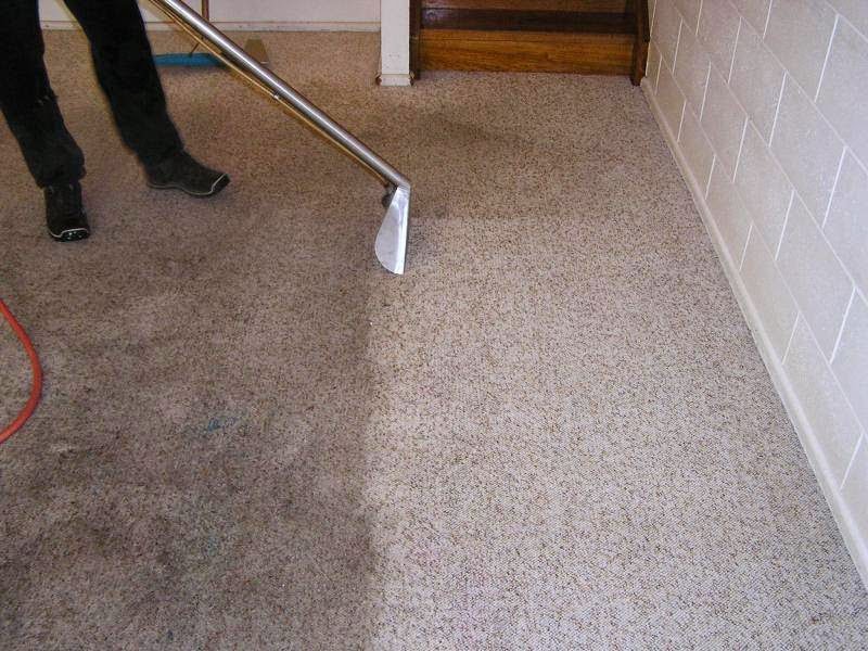 Priority Carpet & Tile Cleaning | 250 W Old Country Rd Unit 1B, Hicksville, NY 11801 | Phone: (516) 882-3108