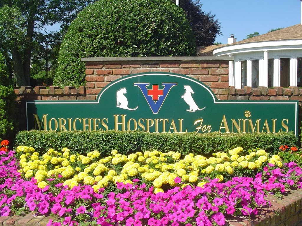The Moriches Hospital For Animals | 214 Main St, Center Moriches, NY 11934 | Phone: (631) 878-1600