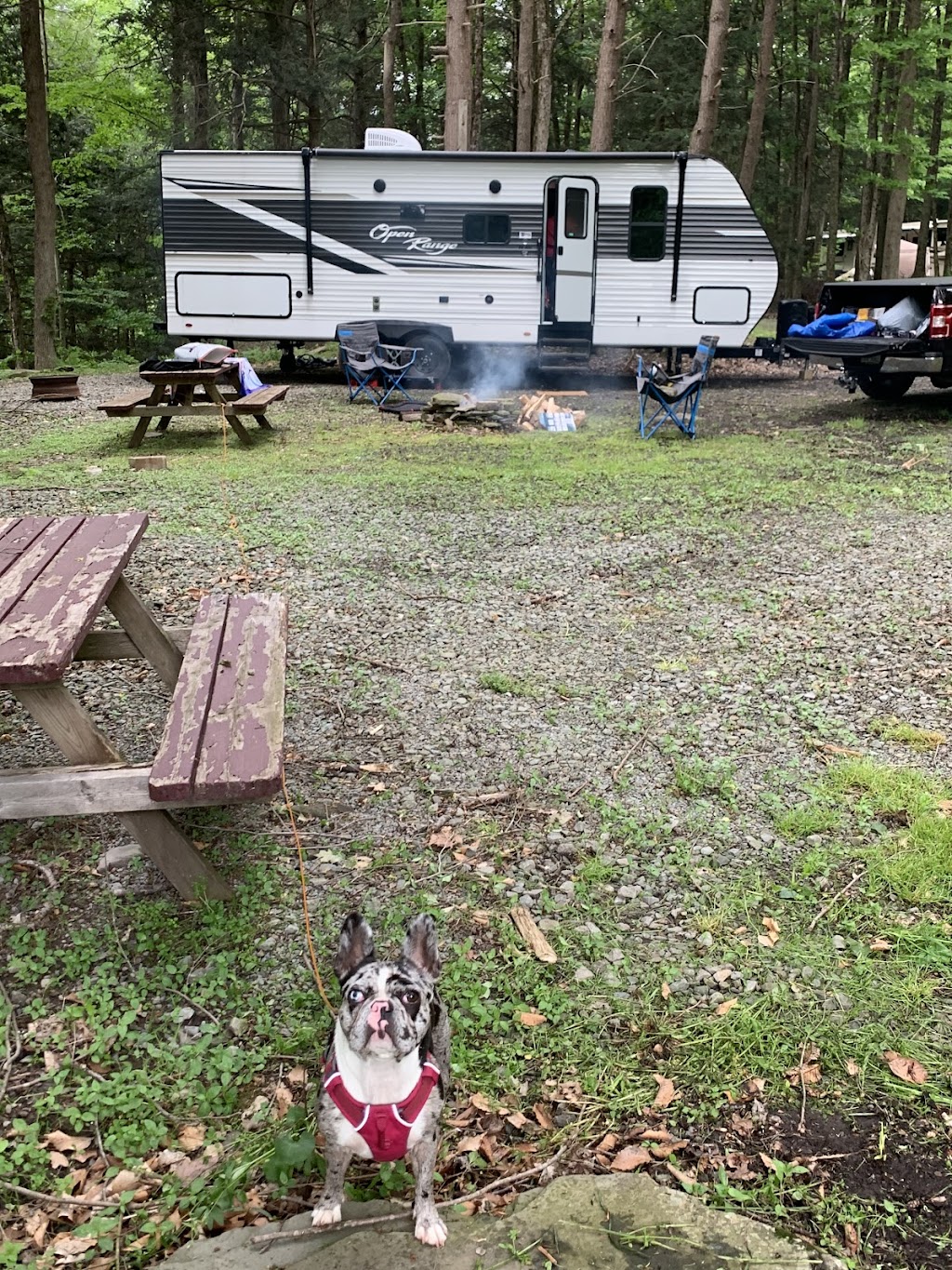 Shady Rest Campground | 2684 State Rte 2067, Union Dale, PA 18470 | Phone: (570) 222-2365