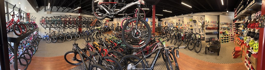 Dannys Cycles - North Stamford | 1492 High Ridge Rd, Stamford, CT 06903 | Phone: (203) 883-8488