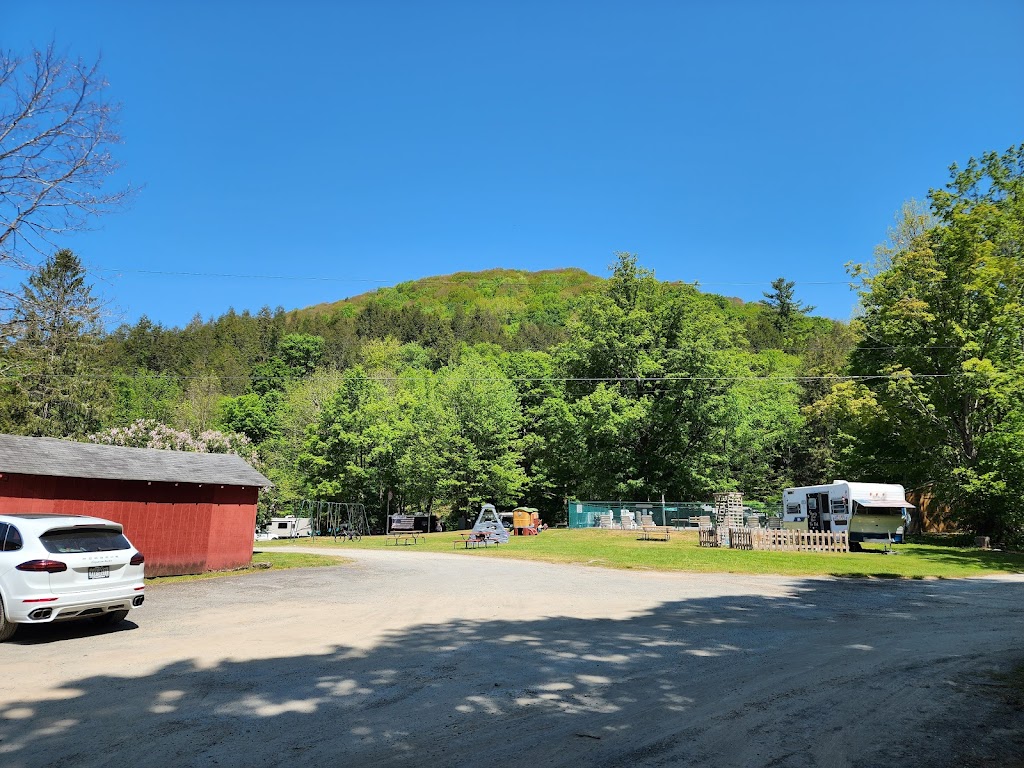 Russell Brook Campsites | 731 Russell Brook Rd, Roscoe, NY 12776 | Phone: (607) 498-5416