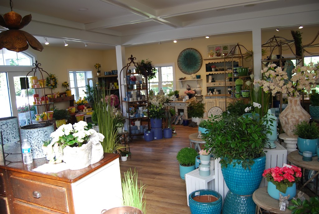 Country Greenery | 1518 US-9, Cape May Court House, NJ 08210 | Phone: (609) 465-2694