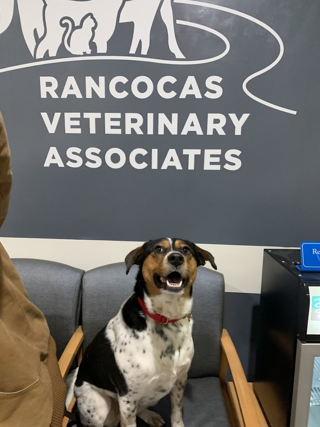 Rancocas Veterinary Associates | 3201 Marne Hwy, Mt Laurel Township, NJ 08054 | Phone: (609) 261-7280