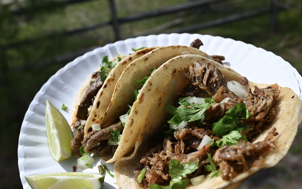 Tacos Madrigal Truck | S Clover St, Lakewood, NJ 08701 | Phone: (732) 904-2503