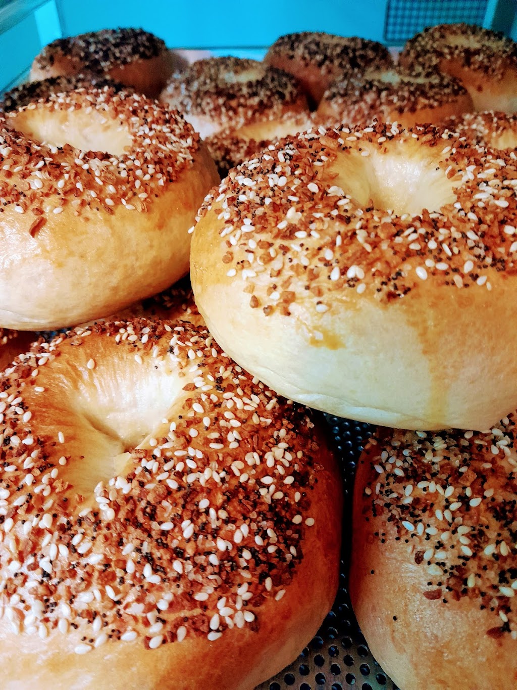 Wallenpaupack bagel | 868 Main St, Newfoundland, PA 18445 | Phone: (570) 766-3333