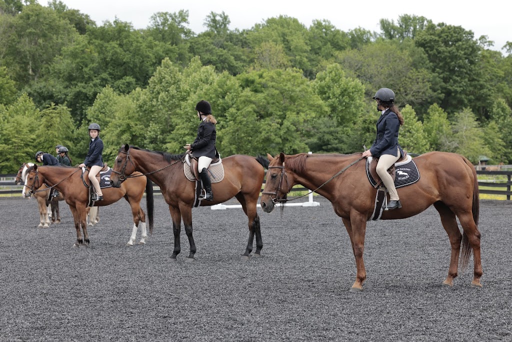 Seaton Hackney Stables -Equishare USA, LLC | 440 South St, Morristown, NJ 07960 | Phone: (973) 644-3355