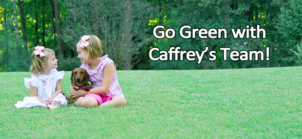 Caffrey Tree & Landscape | 2600 US-22, Scotch Plains, NJ 07076 | Phone: (908) 889-6584