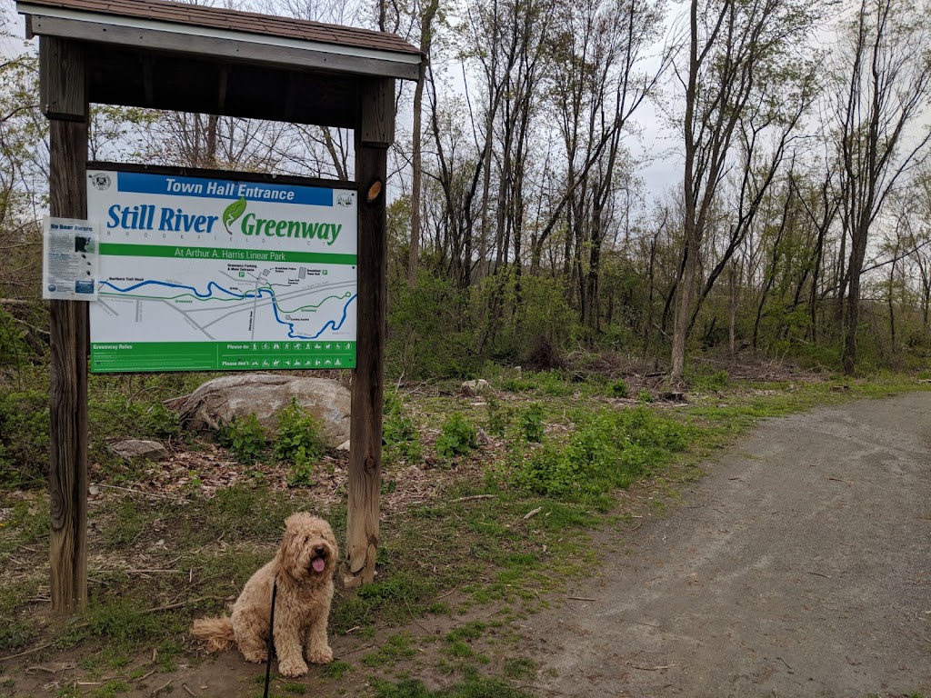 Still River Greenway Trail | 63 Silvermine Rd, Brookfield, CT 06804 | Phone: (203) 775-7300