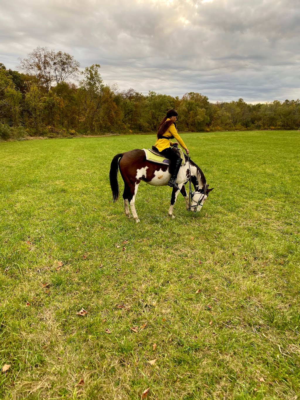 Top View Riding Ranch | 36 Hess Rd, Blairstown, NJ 07825 | Phone: (908) 362-1440