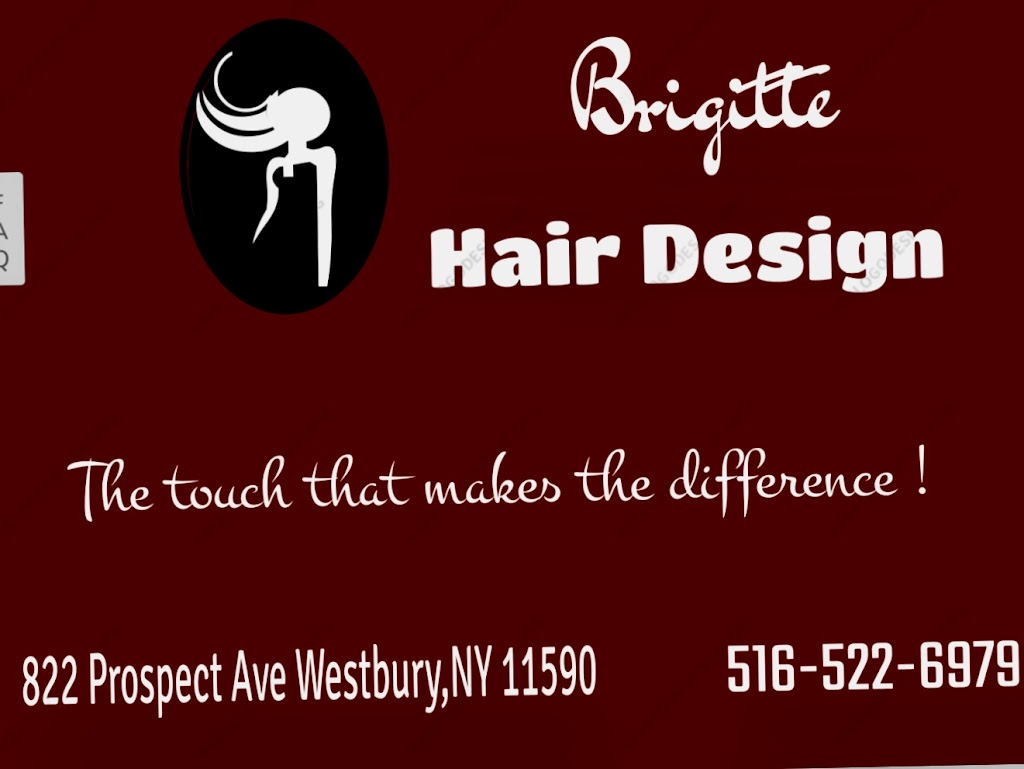 Brigitte Hair Design | 822 Prospect Ave, Westbury, NY 11590 | Phone: (516) 522-6979