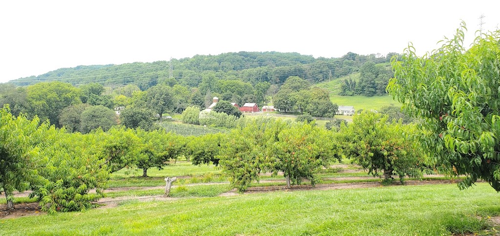 Phillips Farms Pick Your Own | 91 Crab Apple Hill Rd, Milford, NJ 08848 | Phone: (908) 995-0022