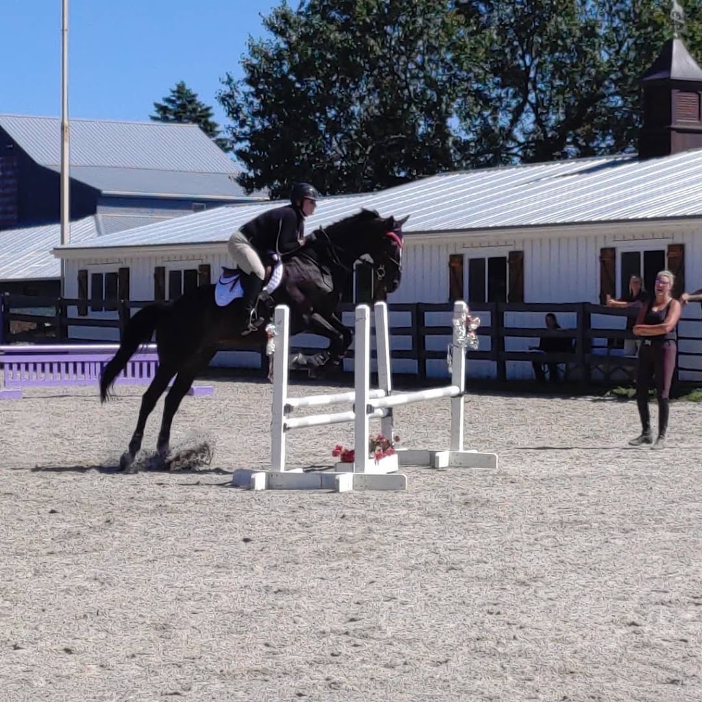 HM Equestrian & Sport Horse | 43 Van Sant Rd, New Hope, PA 18938 | Phone: (215) 666-2156