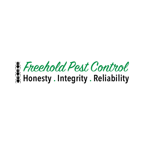 Freehold Pest Control, Inc. | 919 NJ-33 STE 23, Freehold, NJ 07728 | Phone: (732) 308-1070
