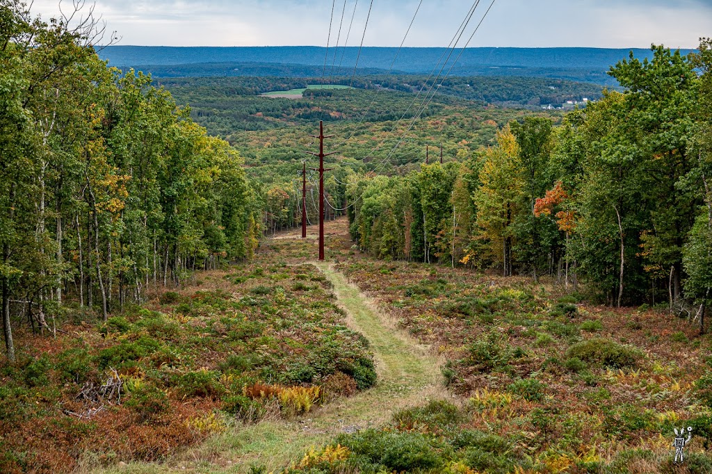 Jonas Mountain Nature Preserve | 739 Rainbow Terrace, Effort, PA 18330 | Phone: (570) 424-1514