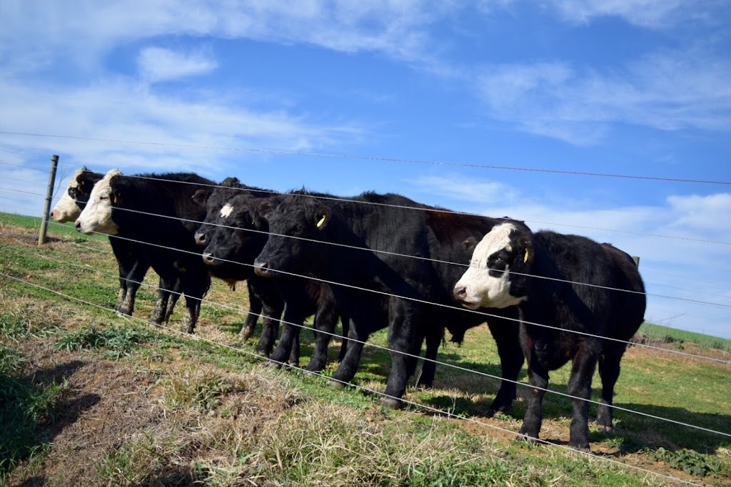 Fulper Family Farmstead | 281 Rocktown Lambertville Rd, Lambertville, NJ 08530 | Phone: (609) 651-6474